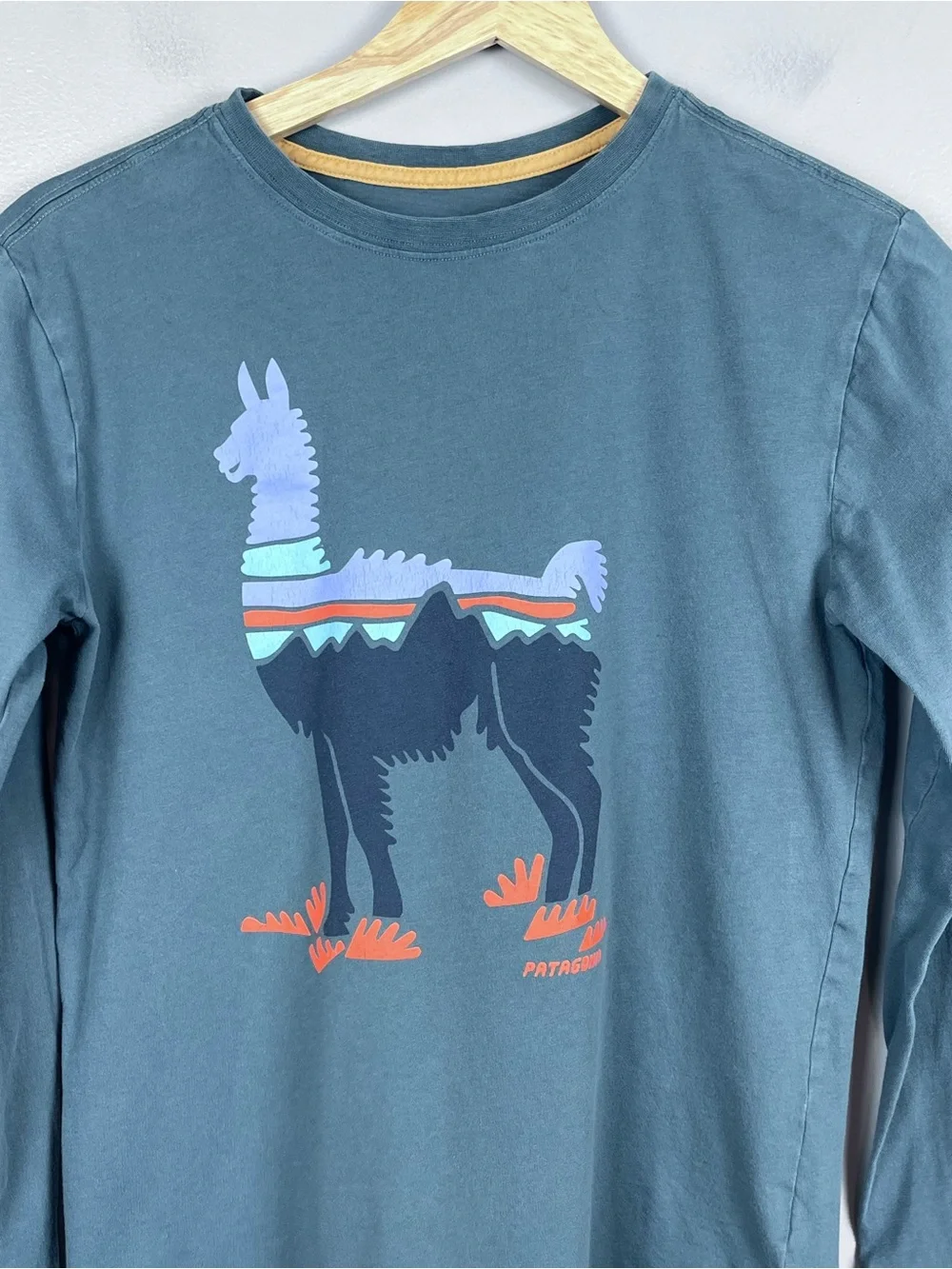 Patagonia Boy's 100% Organic Cotton LLama Graphic Print Long Sleeve Tee Size L